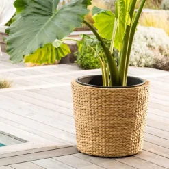 Becquet Cache-pot en jacinthe d'eau< Vase, Cache-Pot|Décoration