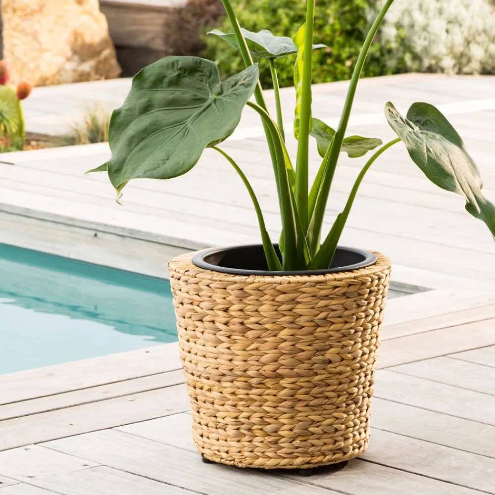 Becquet Cache-pot en jacinthe d'eau< Vase, Cache-Pot|Décoration