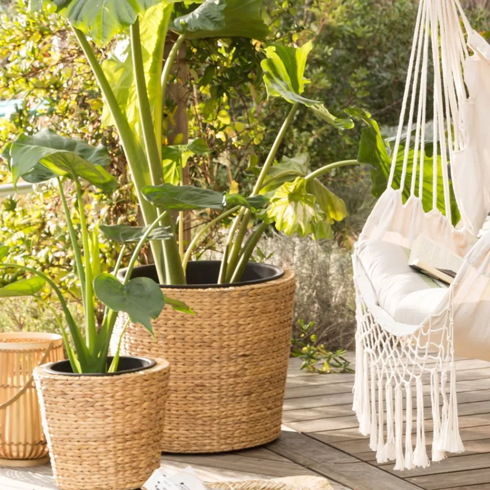 Becquet Cache-pot en jacinthe d'eau< Vase, Cache-Pot|Décoration