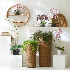 Becquet Cache-pot en résine tressée< Vase, Cache-Pot|Décoration
