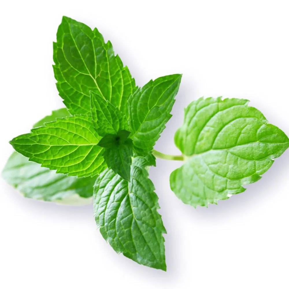 Becquet Couette Dacron® Vegetal Protect antiacarien - antibactérien - Tempérée< Couette, Édredon, Plumon|Couette