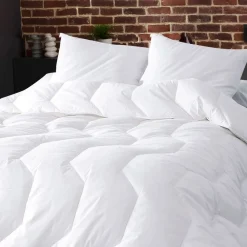 Becquet Couette Hollofil Allerban HYGIÈNE GARANTIE - Dodo - 4 saisons< Les Matières|Couette, Édredon, Plumon