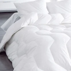 Becquet Couette Hollofil Allerban HYGIÈNE GARANTIE Dodo - Tempérée - Chaude - Très chaude< Les Matières|Couette, Édredon, Plumon
