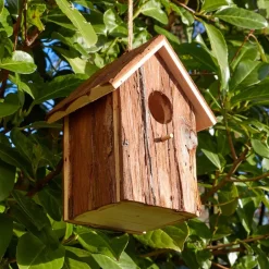 Becquet Nichoir à oiseaux en bois< Entretien De La Maison