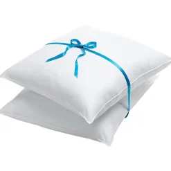 Becquet Oreiller DODO ANTIACARIEN - Lot de 2 - Moelleux< Oreiller, Traversin|Oreiller Et Traversin