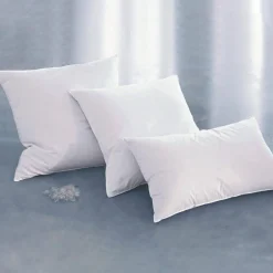 Becquet Oreiller et traversin 15% duvet d'oie/canard ANTITACHE - Médium< Oreiller, Traversin|Oreiller Et Traversin
