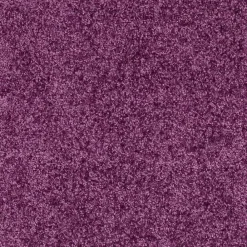 Becquet Tapis d'entrée absorbant coloré< Tapis D'Entrée, Tapis De Cuisine