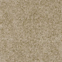 Becquet Tapis d'entrée absorbant coloré< Tapis D'Entrée, Tapis De Cuisine